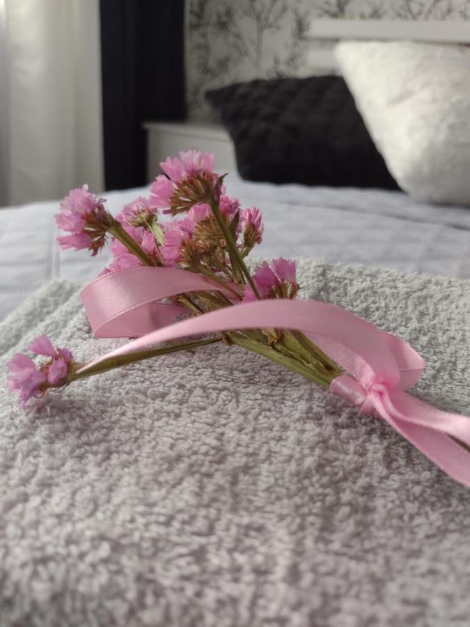 Apartament Nad Jeziorakiem Iława Kültér fotó
