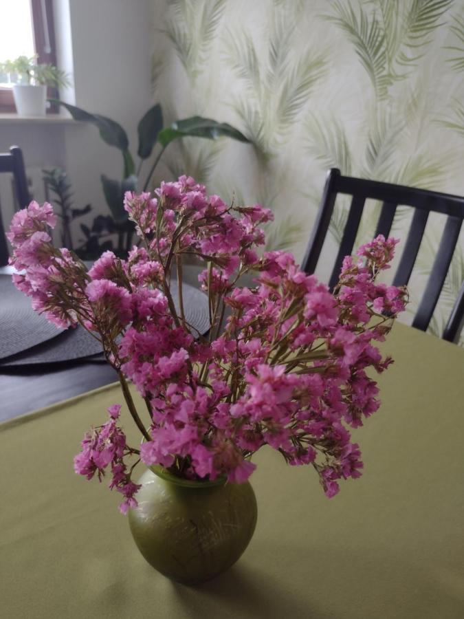 Apartament Nad Jeziorakiem Iława Kültér fotó
