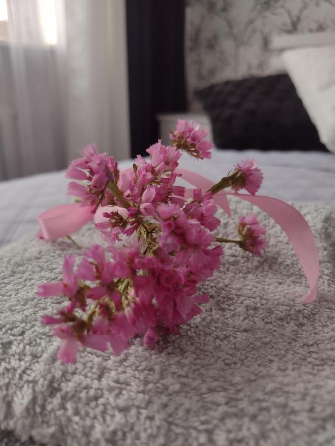 Apartament Nad Jeziorakiem Iława Kültér fotó