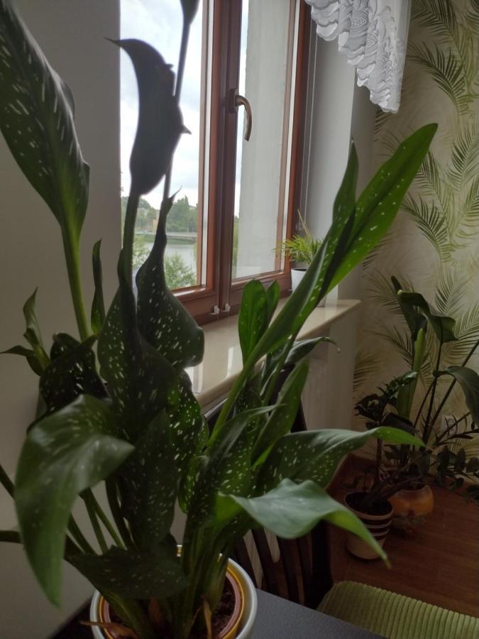 Apartament Nad Jeziorakiem Iława Kültér fotó